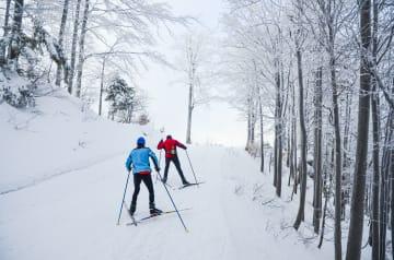 Langlauf-Skitour durch die Winterlandschaft thumbnail