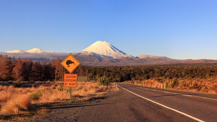 Neuseeland Roadtrip: Freiheit pur! 