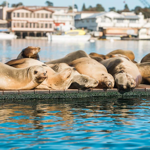 Explore California: Road trip dreams and national wonders
