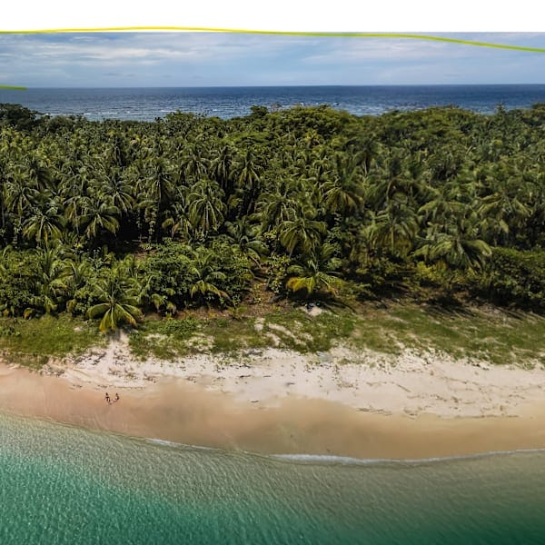 Costa Rica and Panama: Road adventure to the cloud forest!