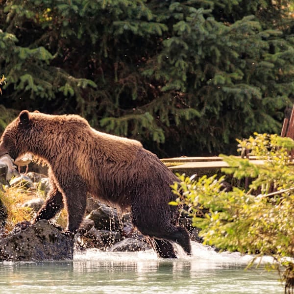 Canada road trip: Vancouver vibes and Rocky Mountains