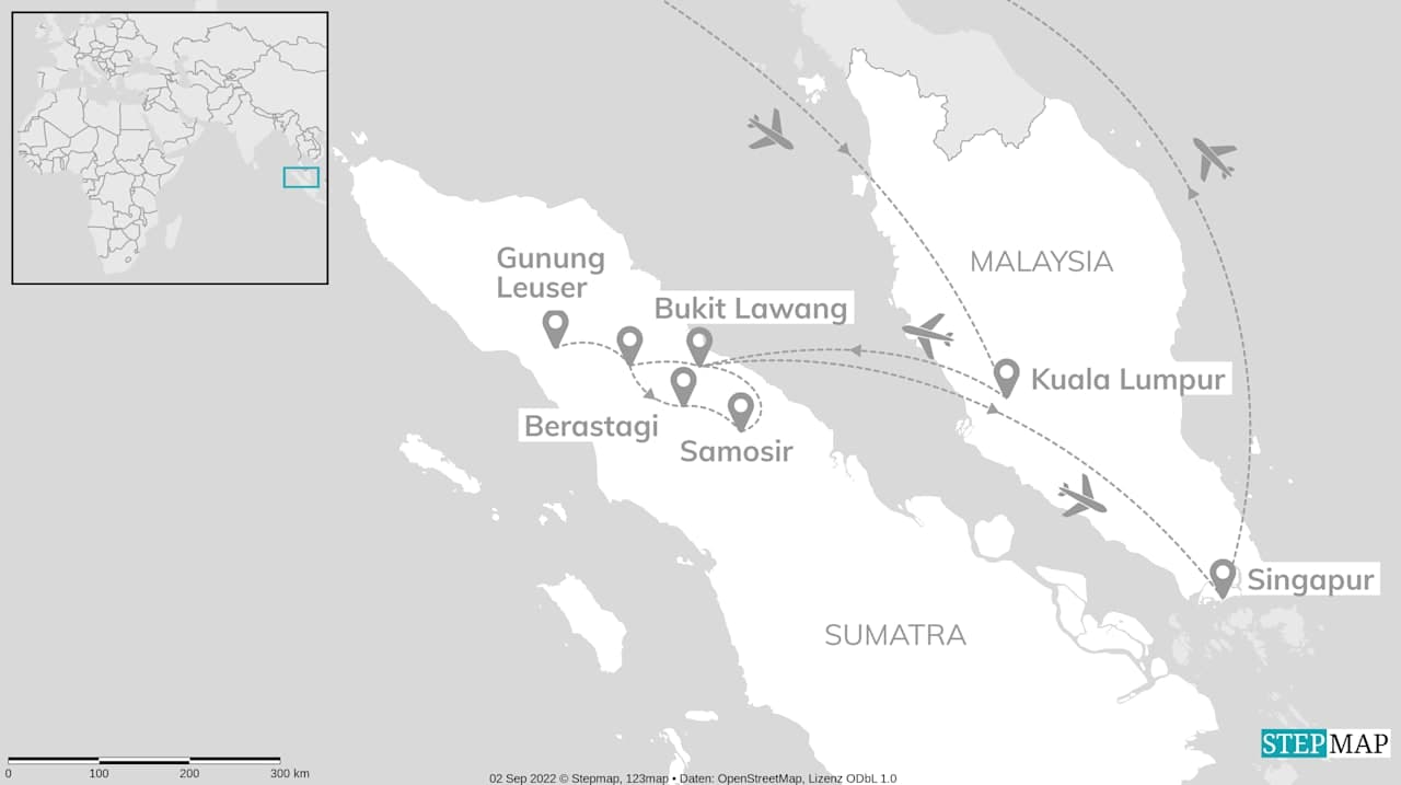 Could not load trip map.