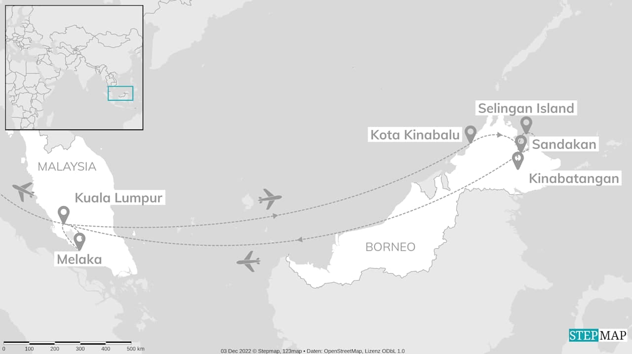 Abenteuer Malaysia: Borneos Geheimnisse des Dschungels