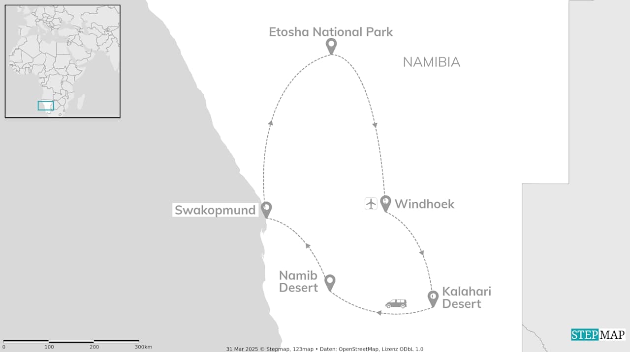 Namibia road trip: Wildlife, desert and safari adventure
