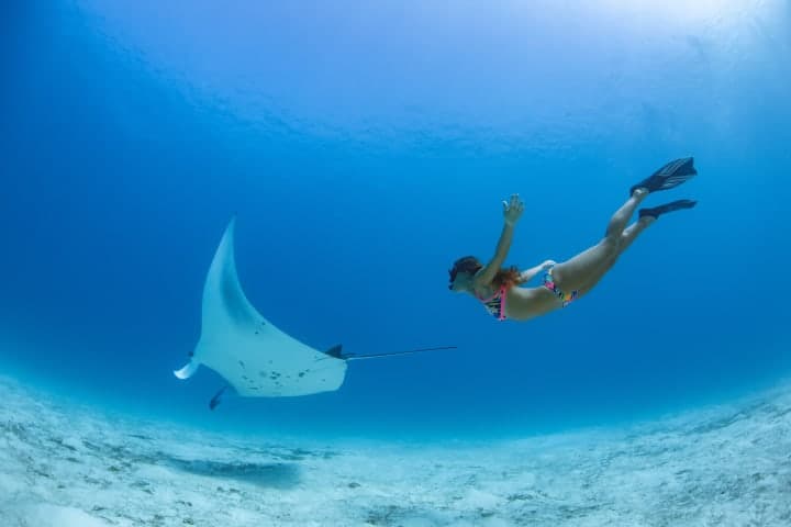 Schnorcheltour um Nusa Penida ab Nusa Dua thumbnail