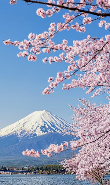 Tokio trifft Kyoto & Mount Fuji