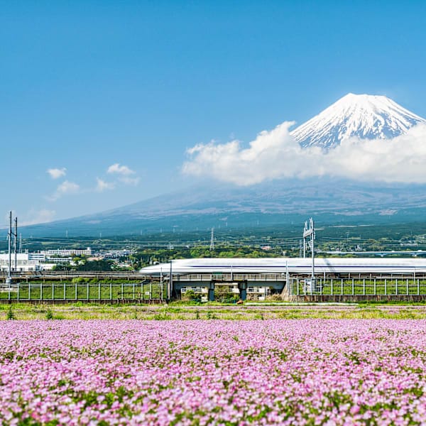 Explore Japan: Neon cities, sacred shrines and samurai