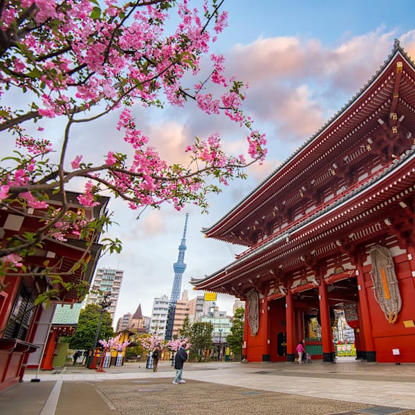 Japan, Singapore and Bali: Supertrees to jungle dreams