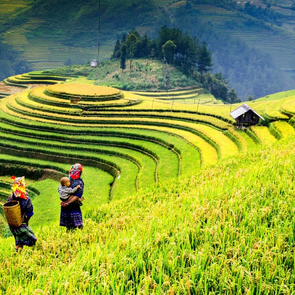 Vietnam Intense: Local Living mit Halong & Mekong