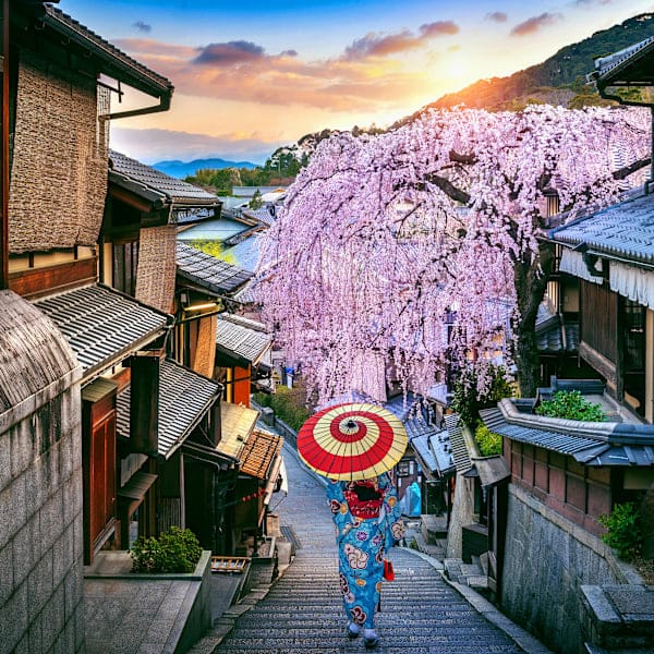 Explore Japan: Neon cities, sacred shrines and samurai