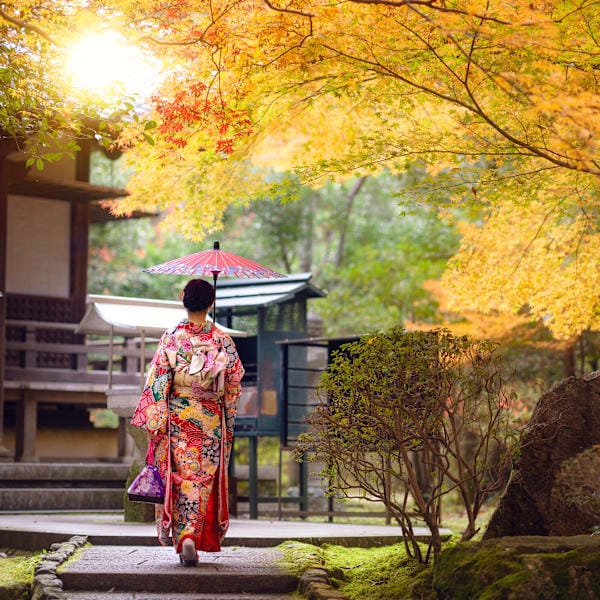 Tokyo, Osaka, Kyoto: From streets to shrines
