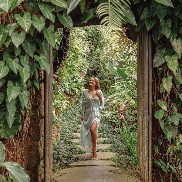 Japan, Singapore and Bali: Supertrees to jungle dreams