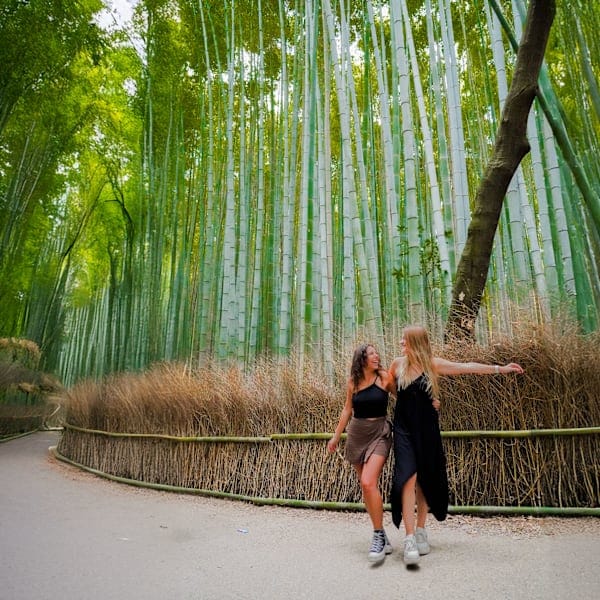 South Korea and Japan: City-hopping to Mt Fuji