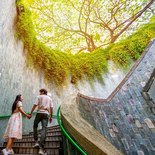 Japan, Singapore and Bali: Supertrees to jungle dreams